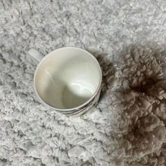 資生堂 マグカップ 楽園 アルシア•ウィルソン 花椿CLUBの画像