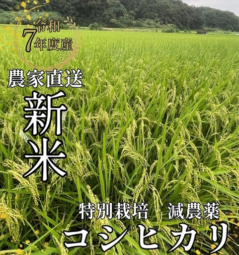 ④ 近隣配達可　令和七年産　特別栽培　減農薬　コシヒカリ　玄米30㎏