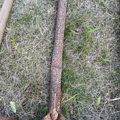 剣スコップの画像