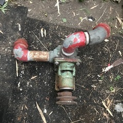 モノフレックスポンプの画像