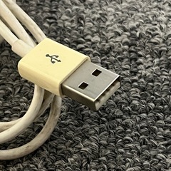 充電ケーブル　Type-A  to Lightning の画像