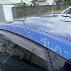 車検長い! トヨタプリウスGツーリングの画像