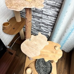 天然木製　完全手作り　キャットタワー　匠の画像