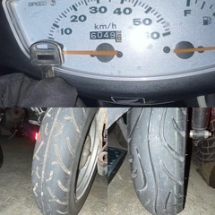 横浜市内無料配送🉐ライブディオの画像