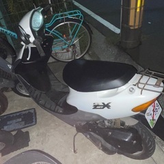 横浜市内無料配送🉐ライブディオの画像