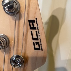 ESP GCA ベースの画像