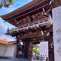 大人の習い事【ヨガ】の画像