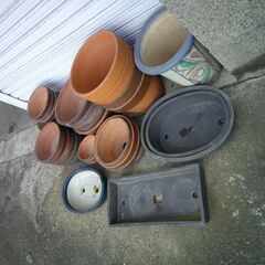 植木鉢　さしあげます。の画像