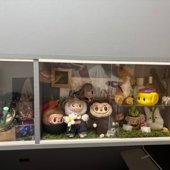 アシュリー ロフトベッド セミシングル シングル セミダブル 160.5cm高 シェルフ ベッド下有効活用 ハシゴ 棚付き ロフトベッド単品 11cm厚マットセット|ディスプレイ収納 の画像