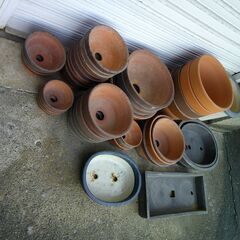 植木鉢　さしあげます。の画像