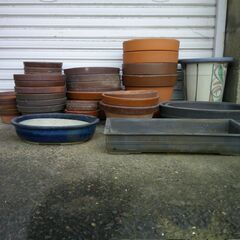 植木鉢　さしあげます。の画像