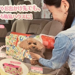 お出かけソフトキャリーの画像