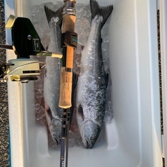 釣りベスト、シムス製。の画像