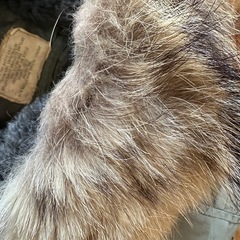 ビンテージ　米軍実物　放出品　n3b フライトジャケット　リフレクター付き　1970年製の画像