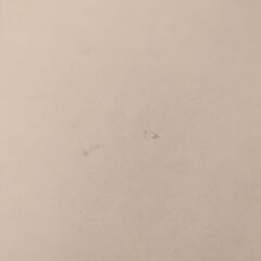 丸テーブル　白の画像