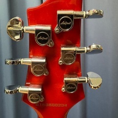 新品同様Aira Pro Ⅱ PE-350 ブラウンサンバーストの画像