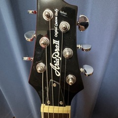 新品同様Aira Pro Ⅱ PE-350 ブラウンサンバーストの画像