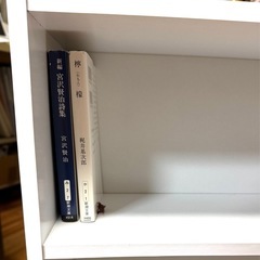 【お譲り先決定。取引調整中】スリムラック（文庫本サイズ/プリント紙化粧板）の画像