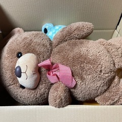 ぬいぐるみの画像