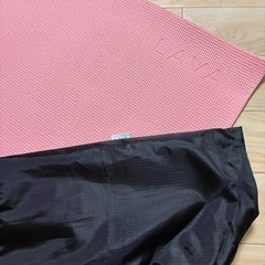 LAVA専用　ヨガマット　ケース付きの画像