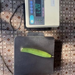 イシダ RS-10N おてつだいさん 農産物用 重量選別スケール｜野菜 果物 計量機
の画像