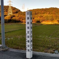 減農薬　令和7年　新米ヒノヒカリ玄米30㌔⑥の画像