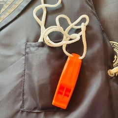 子供用救命胴衣の画像