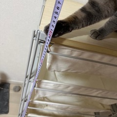 ランドリー棚の画像