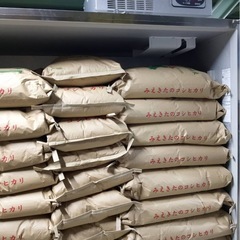 令和7年三重県産のコシヒカリ３０kg の玄米🌾の画像