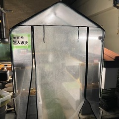 メダカ屋　アニメダカ　無人販売補充しました✨