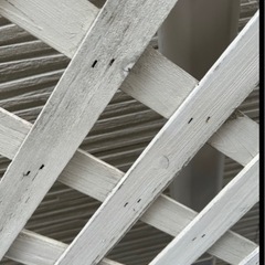 【大幅値下げ！！】ガーデニング木製フェンスホワイトの画像