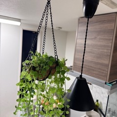 ダウンライト ブラック×2の画像