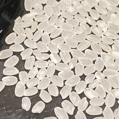 昨年米　令和6年度産　　ヒノヒカリ米　　モミ３０kgの画像