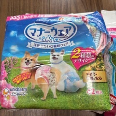 ペット用オムツ　SSSサイズの画像