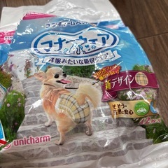 ペット用オムツ　SSSサイズの画像