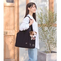 トートキャリー　ネイビーの画像