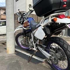 ジェベル250中古 XC 車体　価格相談可
の画像