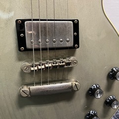エピフォンEpiphone Limited-Edition TV silverの画像