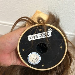 カットウィッグの画像