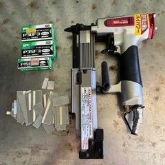 MAXピンネイル
の画像