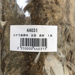 コナラ産卵木 良材 太め 未開封3本セットの画像