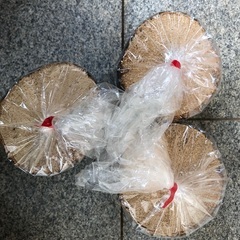 コナラ産卵木 良材 太め 未開封3本セットの画像