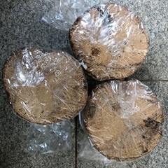 コナラ産卵木 良材 太め 未開封3本セットの画像