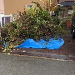 柿や栗の木 - 秋田市