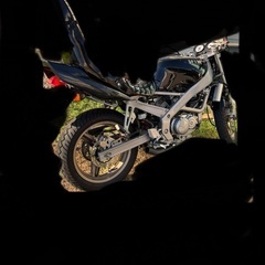 vt250スパーダ　美車の画像