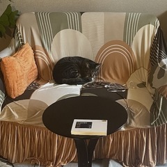 2人掛けソファ　カバーつき、の画像