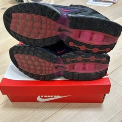 ナイキ エアマックスDN "オールナイト"  28.5cmの画像