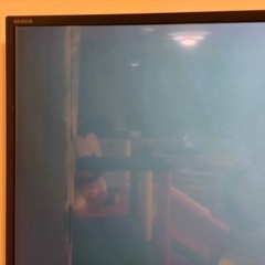 SONY BRAVIA 49型テレビの画像