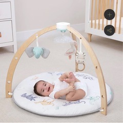 aden + anais アクティビティプレイジム　ベビージムの画像