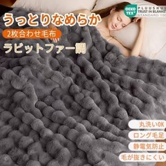  EMME ラビットファー 毛布 冬用 2枚合わせ ふわとろ ブランケット シングル 静電気防止 洗える おしゃれ 北欧 厚手 ソファーカバー 車用 キャンプ ギフト 152x203cm グレーの画像